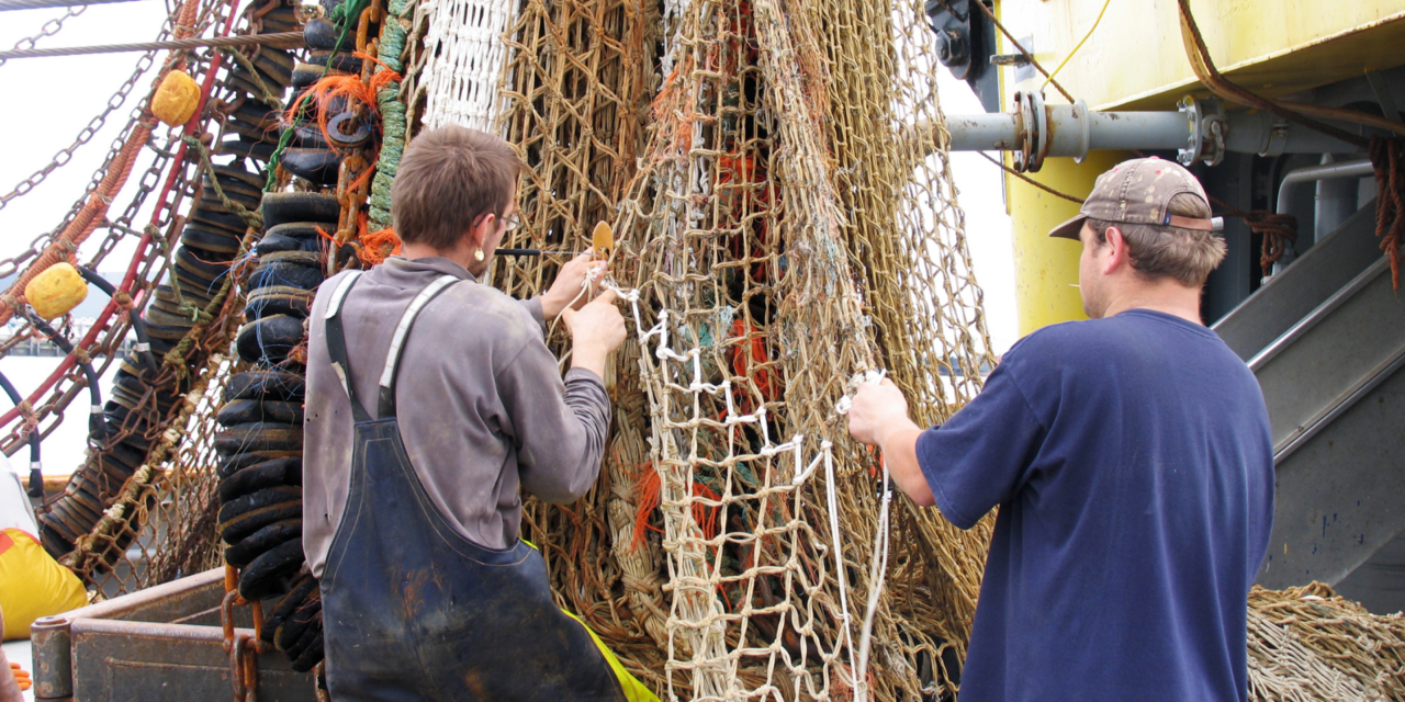Pêche durable : la Commission fait le point sur l’avancée des progrès de l’UE et lance une consultation sur les possibilités de pêche pour 2022